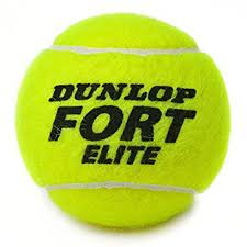 Dunlop Fort Tennis balls